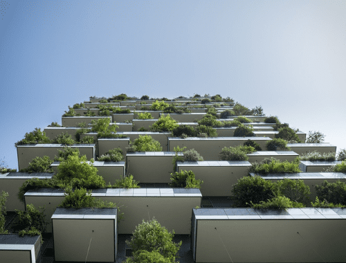 Houses or Units: Which is the Best Investment?