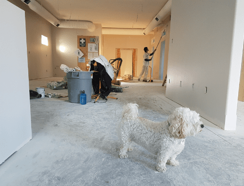 How to Increase your Rental Yield